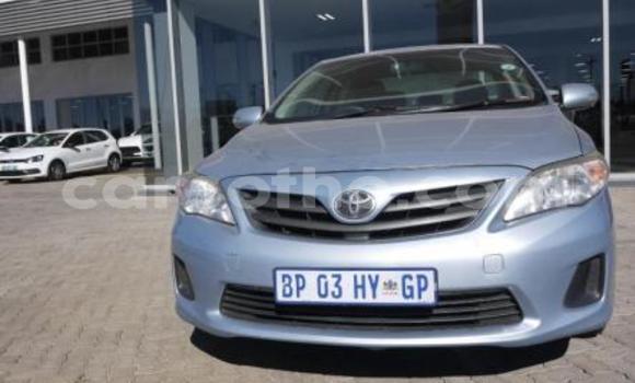 Buy Import Toyota Corolla Blue Car in Maseru in Maseru Buy Import Toyota Corolla Blue Car in Maseru in Maseru