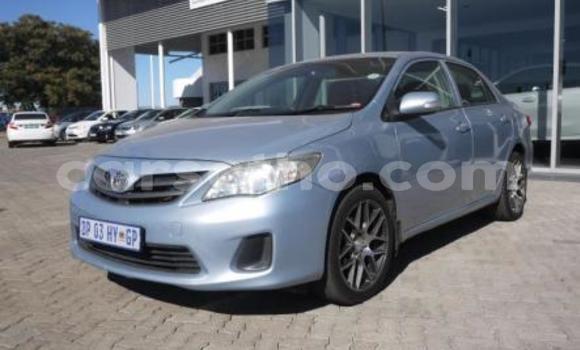 Buy Import Toyota Corolla Blue Car in Maseru in Maseru Buy Import Toyota Corolla Blue Car in Maseru in Maseru