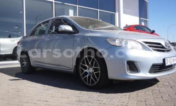 Buy Import Toyota Corolla Blue Car in Maseru in Maseru Buy Import Toyota Corolla Blue Car in Maseru in Maseru