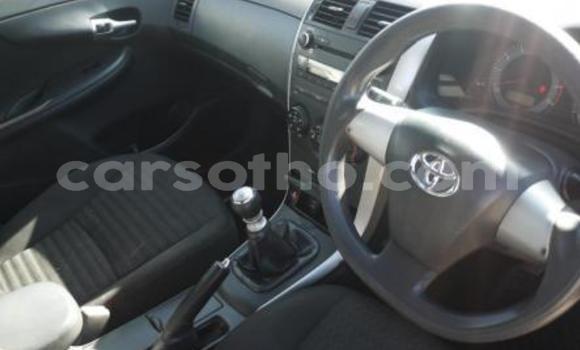 Buy Import Toyota Corolla Blue Car in Maseru in Maseru Buy Import Toyota Corolla Blue Car in Maseru in Maseru