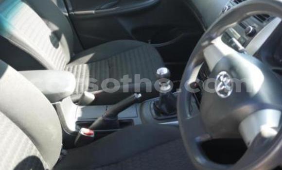 Buy Import Toyota Corolla Blue Car in Maseru in Maseru Buy Import Toyota Corolla Blue Car in Maseru in Maseru