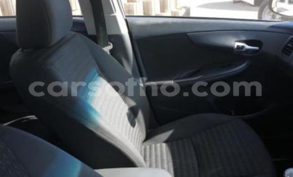 Buy Import Toyota Corolla Blue Car in Maseru in Maseru Buy Import Toyota Corolla Blue Car in Maseru in Maseru