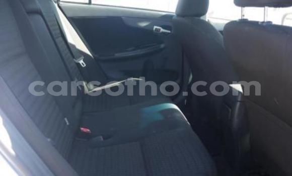 Buy Import Toyota Corolla Blue Car in Maseru in Maseru Buy Import Toyota Corolla Blue Car in Maseru in Maseru