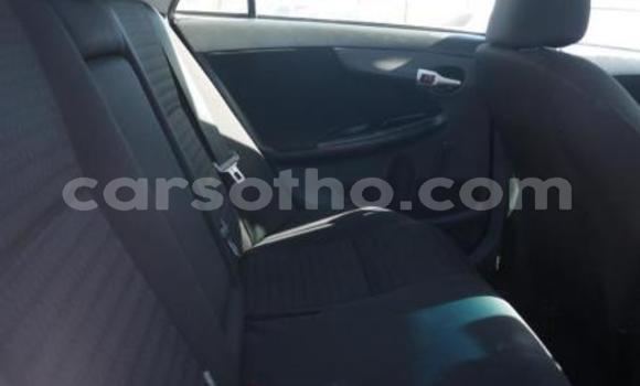 Buy Import Toyota Corolla Blue Car in Maseru in Maseru Buy Import Toyota Corolla Blue Car in Maseru in Maseru