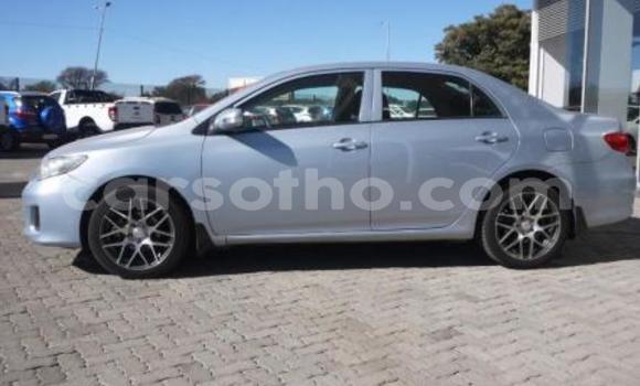 Buy Import Toyota Corolla Blue Car in Maseru in Maseru Buy Import Toyota Corolla Blue Car in Maseru in Maseru