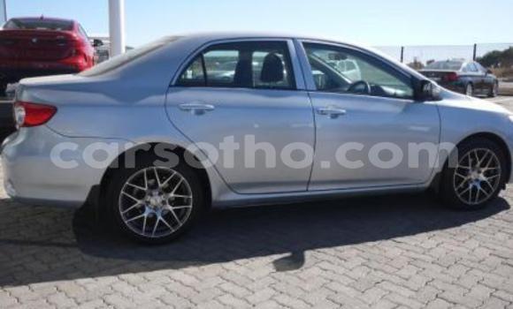 Buy Import Toyota Corolla Blue Car in Maseru in Maseru Buy Import Toyota Corolla Blue Car in Maseru in Maseru