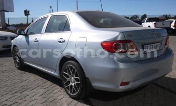 Buy Import Toyota Corolla Blue Car in Maseru in Maseru Buy Import Toyota Corolla Blue Car in Maseru in Maseru