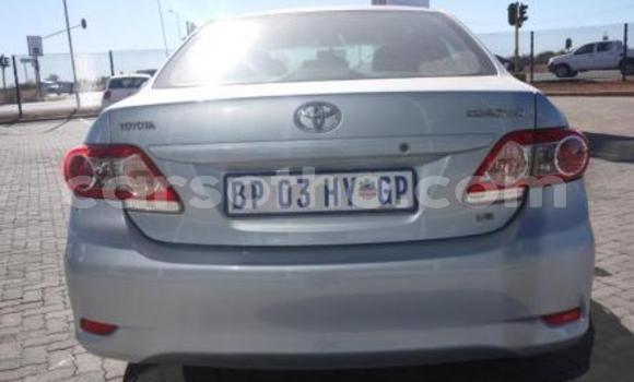 Buy Import Toyota Corolla Blue Car in Maseru in Maseru Buy Import Toyota Corolla Blue Car in Maseru in Maseru