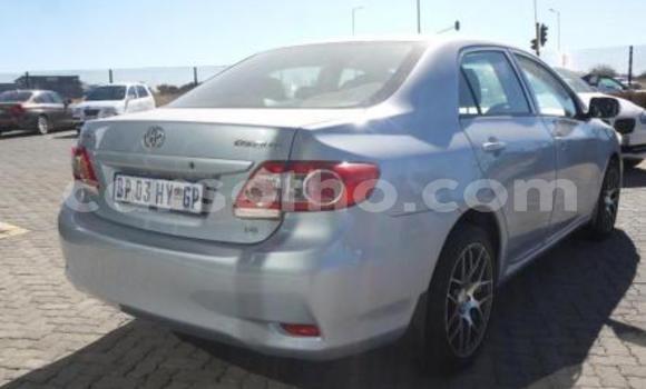 Buy Import Toyota Corolla Blue Car in Maseru in Maseru Buy Import Toyota Corolla Blue Car in Maseru in Maseru