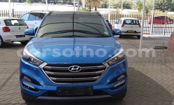 Buy Import Hyundai Tucson Blue Car in Maseru in Maseru Buy Import Hyundai Tucson Blue Car in Maseru in Maseru