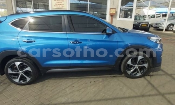 Buy Import Hyundai Tucson Blue Car in Maseru in Maseru Buy Import Hyundai Tucson Blue Car in Maseru in Maseru