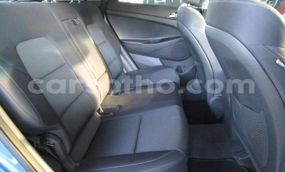 Buy Import Hyundai Tucson Blue Car in Maseru in Maseru Buy Import Hyundai Tucson Blue Car in Maseru in Maseru