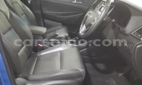 Buy Import Hyundai Tucson Blue Car in Maseru in Maseru Buy Import Hyundai Tucson Blue Car in Maseru in Maseru