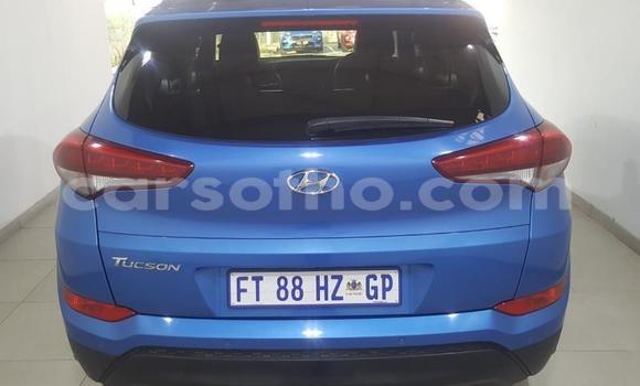 Buy Import Hyundai Tucson Blue Car in Maseru in Maseru Buy Import Hyundai Tucson Blue Car in Maseru in Maseru