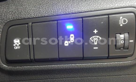 Buy Import Hyundai Tucson Blue Car in Maseru in Maseru Buy Import Hyundai Tucson Blue Car in Maseru in Maseru