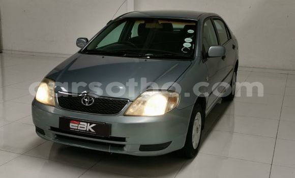 Acheter Occasion Voiture Toyota Corolla Bleu à Mafeteng, Mafeteng Acheter Occasion Voiture Toyota Corolla Bleu à Mafeteng, Mafeteng