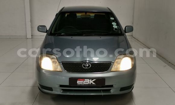 Acheter Occasion Voiture Toyota Corolla Bleu à Mafeteng, Mafeteng Acheter Occasion Voiture Toyota Corolla Bleu à Mafeteng, Mafeteng