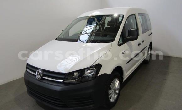 Buy Used Volkswagen Caddy White Car in Maseru in Maseru Buy Used Volkswagen Caddy White Car in Maseru in Maseru