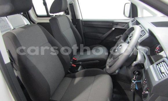 Buy Used Volkswagen Caddy White Car in Maseru in Maseru Buy Used Volkswagen Caddy White Car in Maseru in Maseru