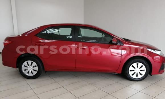 Buy Used Toyota Corolla Red Car in Maseru in Maseru Buy Used Toyota Corolla Red Car in Maseru in Maseru