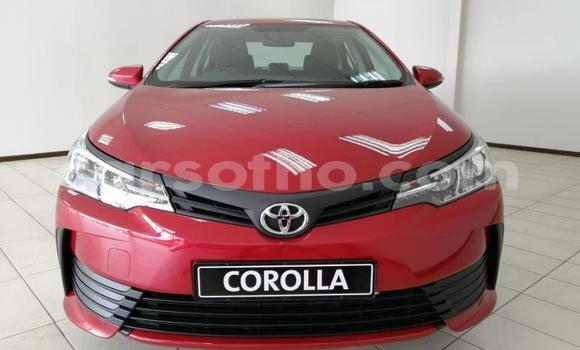 Buy Used Toyota Corolla Red Car in Maseru in Maseru Buy Used Toyota Corolla Red Car in Maseru in Maseru