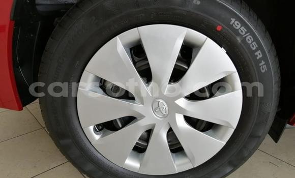Buy Used Toyota Corolla Red Car in Maseru in Maseru Buy Used Toyota Corolla Red Car in Maseru in Maseru