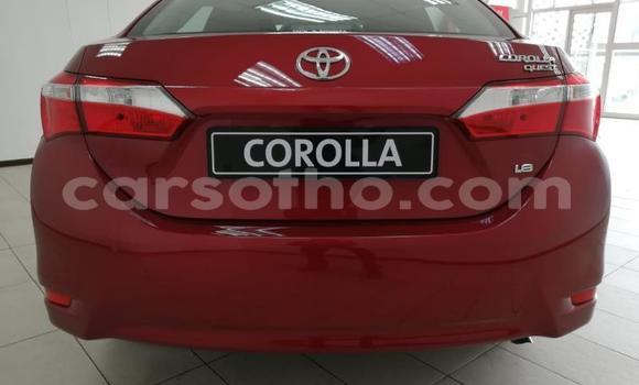Buy Used Toyota Corolla Red Car in Maseru in Maseru Buy Used Toyota Corolla Red Car in Maseru in Maseru
