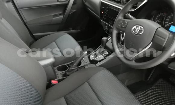 Buy Used Toyota Corolla Red Car in Maseru in Maseru Buy Used Toyota Corolla Red Car in Maseru in Maseru