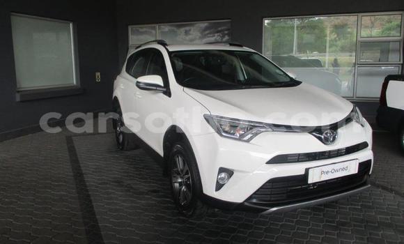 Buy Used Toyota RAV4 White Car in Maseru in Maseru Buy Used Toyota RAV4 White Car in Maseru in Maseru
