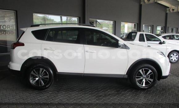 Buy Used Toyota RAV4 White Car in Maseru in Maseru Buy Used Toyota RAV4 White Car in Maseru in Maseru