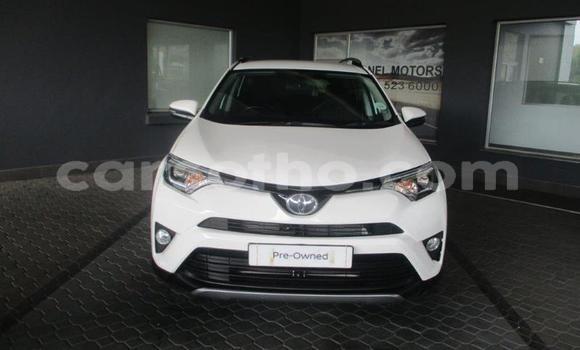 Buy Used Toyota RAV4 White Car in Maseru in Maseru Buy Used Toyota RAV4 White Car in Maseru in Maseru