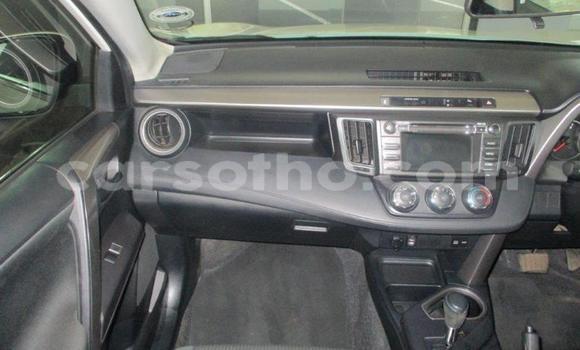 Buy Used Toyota RAV4 White Car in Maseru in Maseru Buy Used Toyota RAV4 White Car in Maseru in Maseru