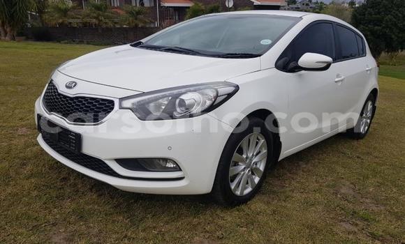 Buy Used Kia Cerato White Car in Maseru in Maseru Buy Used Kia Cerato White Car in Maseru in Maseru