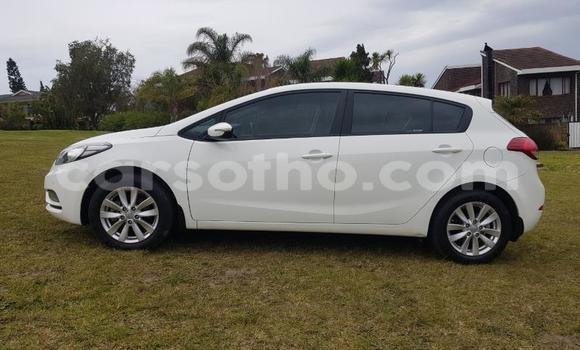 Buy Used Kia Cerato White Car in Maseru in Maseru Buy Used Kia Cerato White Car in Maseru in Maseru
