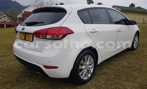 Buy Used Kia Cerato White Car in Maseru in Maseru Buy Used Kia Cerato White Car in Maseru in Maseru