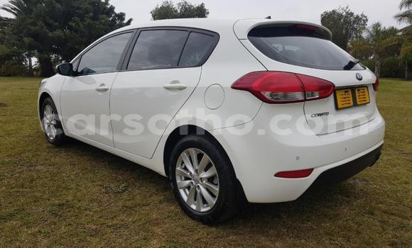 Buy Used Kia Cerato White Car in Maseru in Maseru Buy Used Kia Cerato White Car in Maseru in Maseru