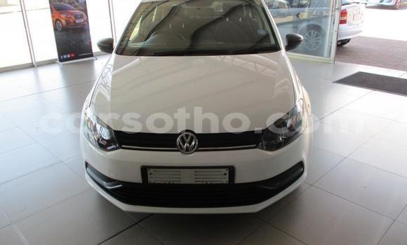 Acheter Occasion Voiture Volkswagen Polo Blanc à Maseru, Maseru Acheter Occasion Voiture Volkswagen Polo Blanc à Maseru, Maseru