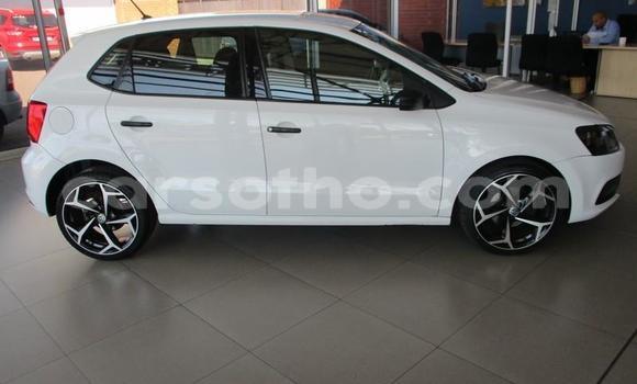 Acheter Occasion Voiture Volkswagen Polo Blanc à Maseru, Maseru Acheter Occasion Voiture Volkswagen Polo Blanc à Maseru, Maseru