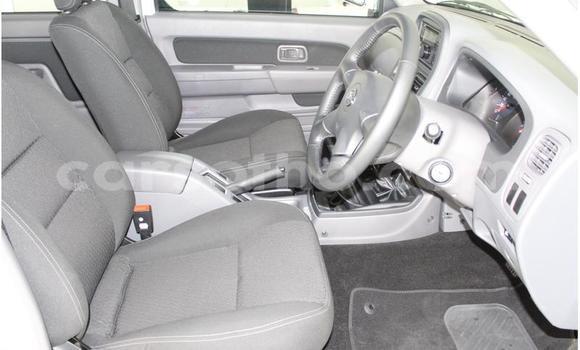 Acheter Occasion Voiture Nissan Hardbody Blanc à Maseru, Maseru Acheter Occasion Voiture Nissan Hardbody Blanc à Maseru, Maseru