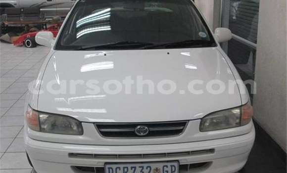 اشتري مستعمل Toyota Corolla White سيارة في Mafeteng في Mafeteng اشتري مستعمل Toyota Corolla White سيارة في Mafeteng في Mafeteng
