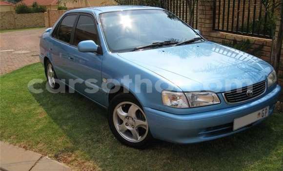 اشتري مستعمل Toyota Corolla Blue سيارة في Maputsoe في Leribe اشتري مستعمل Toyota Corolla Blue سيارة في Maputsoe في Leribe