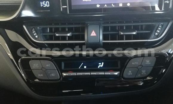 Acheter Occasion Voiture Toyota C-HR Blanc à Maseru, Maseru Acheter Occasion Voiture Toyota C-HR Blanc à Maseru, Maseru