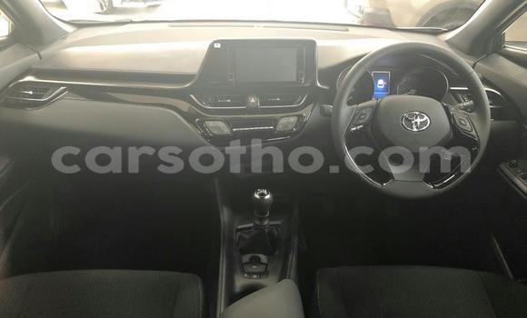 Acheter Occasion Voiture Toyota C-HR Blanc à Maseru, Maseru Acheter Occasion Voiture Toyota C-HR Blanc à Maseru, Maseru