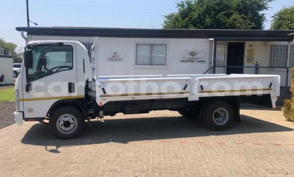 Acheter Occasion Utilitaire Isuzu FTR 850 Blanc à Maseru, Maseru Acheter Occasion Utilitaire Isuzu FTR 850 Blanc à Maseru, Maseru