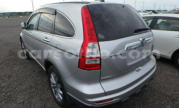 اشتري مستعمل Honda CR–V Silver سيارة في Butha–Buthe في Thaba-Tseka اشتري مستعمل Honda CR–V Silver سيارة في Butha–Buthe في Thaba-Tseka