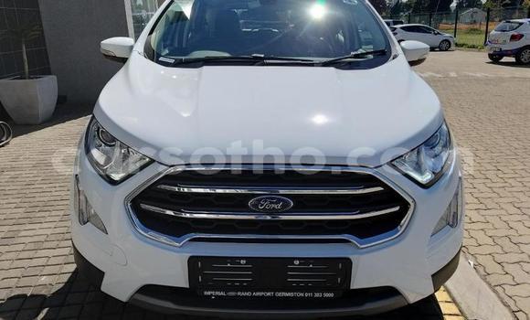 Buy Used Ford EcoSport White Car in Maputsoe in Leribe Buy Used Ford EcoSport White Car in Maputsoe in Leribe