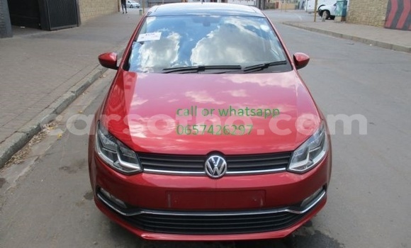 Buy Used Volkswagen Polo Red Car in Maseru in Maseru Buy Used Volkswagen Polo Red Car in Maseru in Maseru