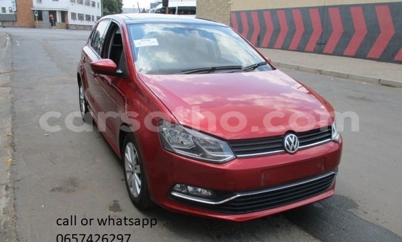 Buy Used Volkswagen Polo Red Car in Maseru in Maseru Buy Used Volkswagen Polo Red Car in Maseru in Maseru