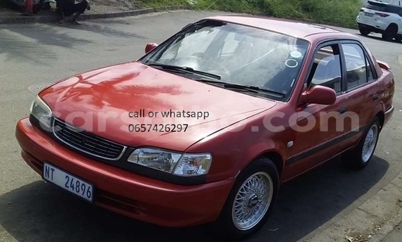 Buy Used Toyota Corolla Red Car in Maseru in Maseru Buy Used Toyota Corolla Red Car in Maseru in Maseru