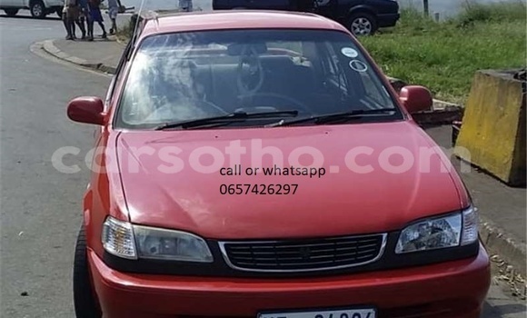 Buy Used Toyota Corolla Red Car in Maseru in Maseru Buy Used Toyota Corolla Red Car in Maseru in Maseru